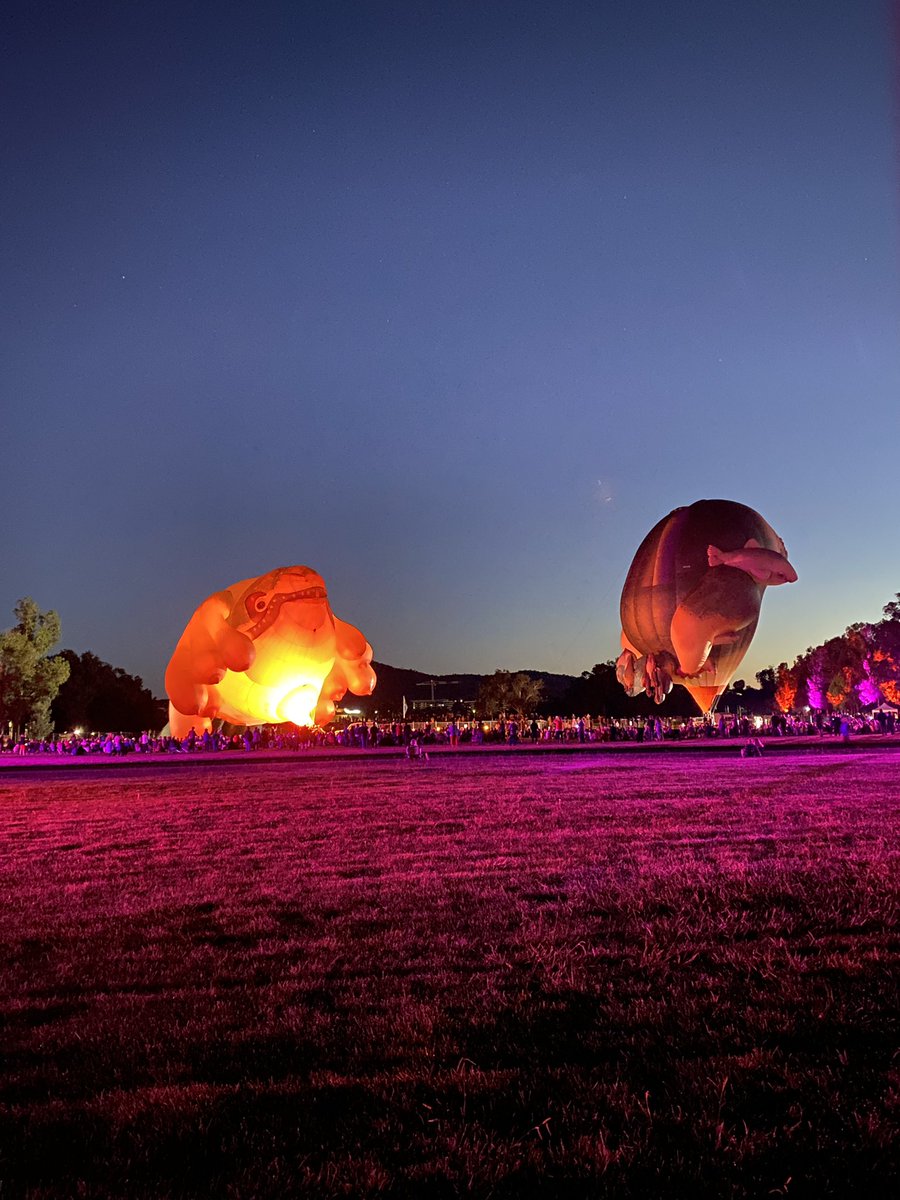 Skywhalepapa’s inaugural flight #skywhale #newfamilymember #PatriciaPiccinini