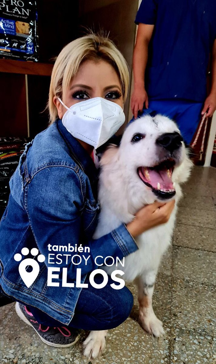 IvonneHernandSv's tweet photo. #PerroHeroe

Les presentó a "Rocky" un perro homenajeado como "Perro heroe de los salvadoreños", también como uno de los personajes del año junto a la Selecta de Playa y otras figuras. Tuve la dicha de rescatar a mi gran amigo en Sensuntepeque.

 Continúa...
⬇️⬇️⬇️ https://t.co/Mjnam4Gpi2