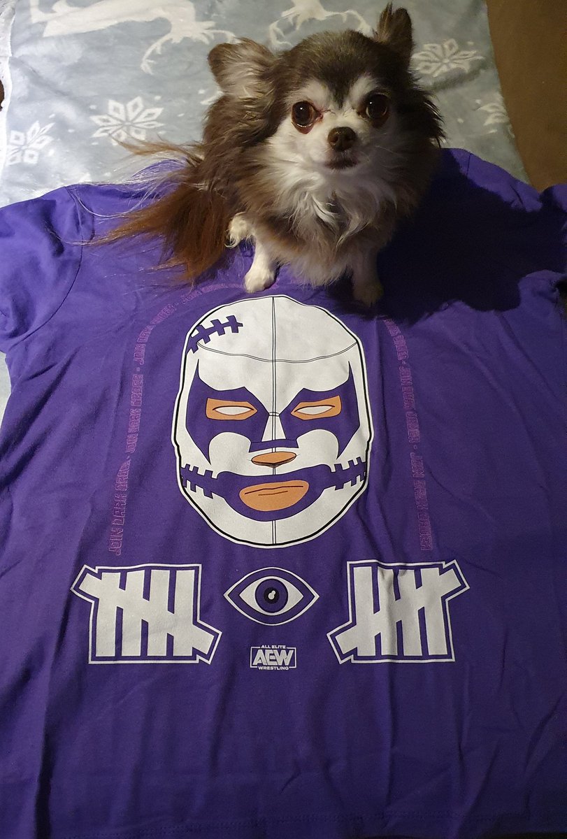 Lexy0108's tweet photo. Yeah, the first 10 shirt came today!
@Pres10Vance is there a special sexy girlie edition? It came with that sexy hole on one siteπ€£π
Beverly liked it anywayβ€
@PWTees
#DarkOrder #jointhedarkorder #jointhebarkorder
(No problem for me, stiching was part of the vet education.) https://t.co/KWlHYZZKO5