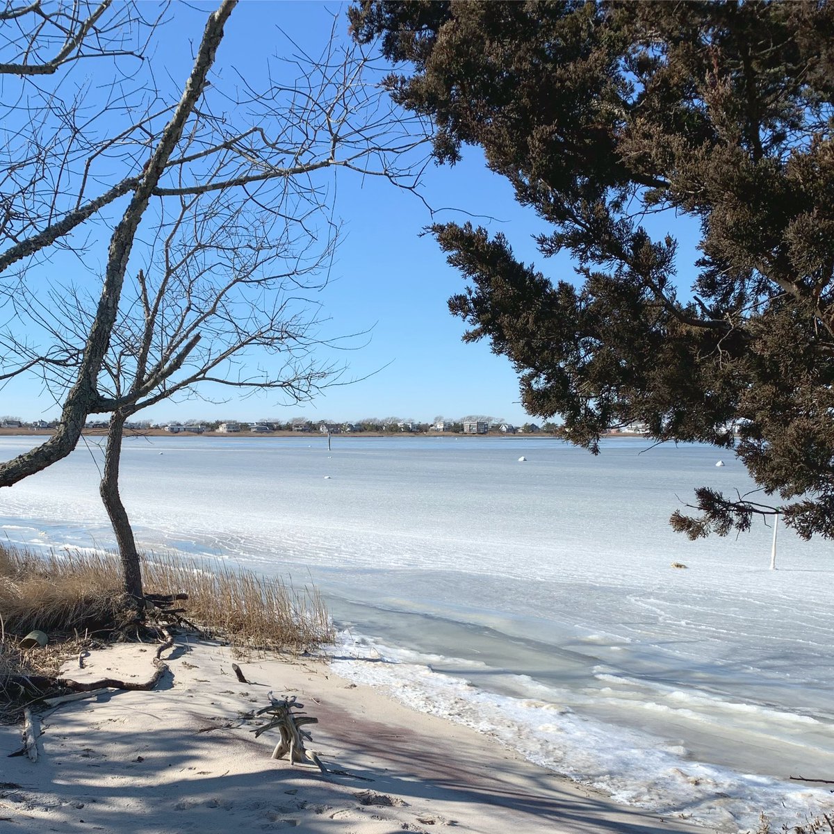 CathySchutte's tweet photo. #Winter scene on #FairHarbor #FireIsland ❄️ #frozen #bay https://t.co/vViIRR8wrL