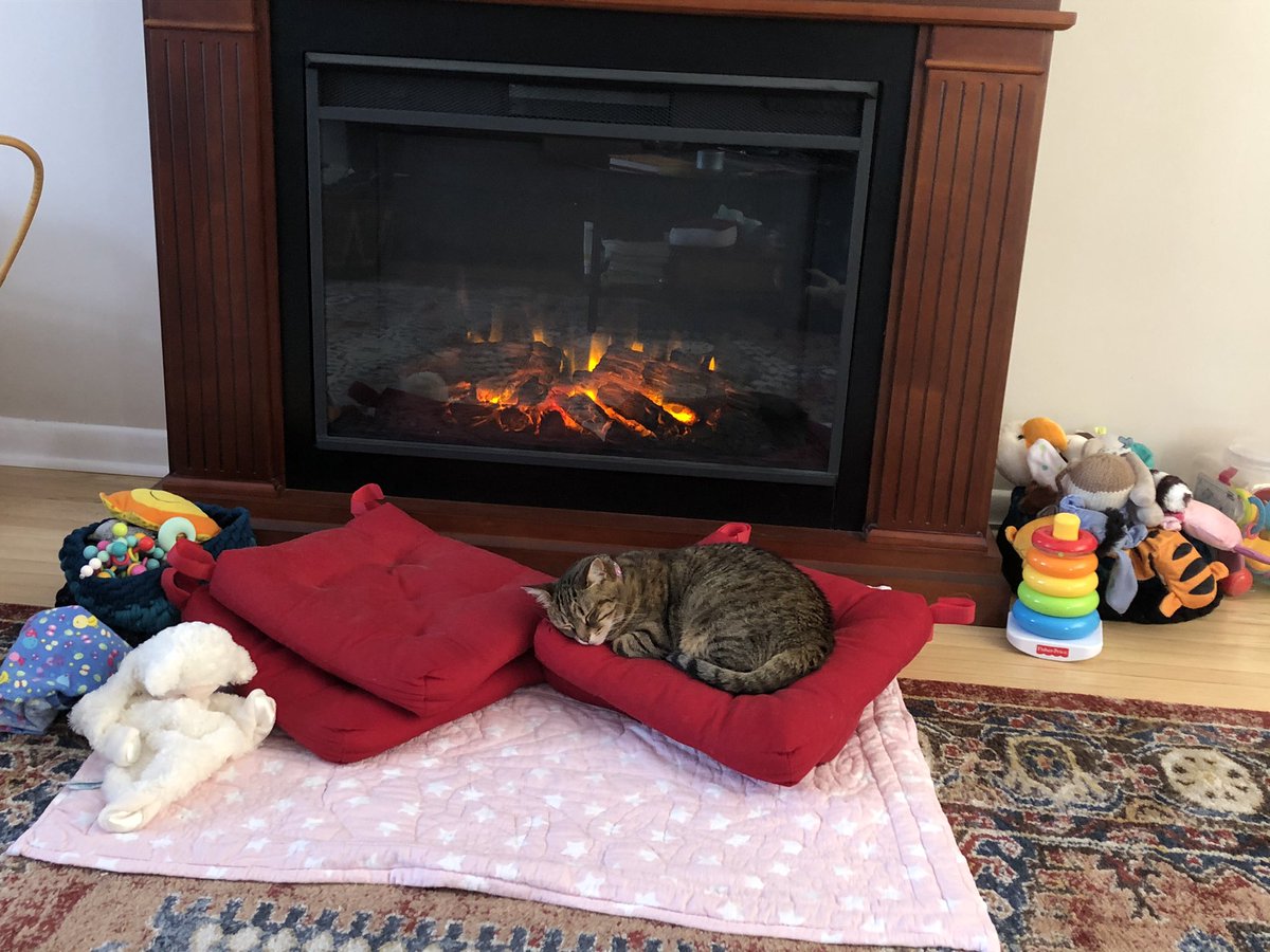 CricketHBCat's tweet photo. The play carpet is so quiet when she’s not here. I think I’ll take a nap too! #LazySaturday #Caturday #AdventuresOfCricket https://t.co/v18eX2pw9N