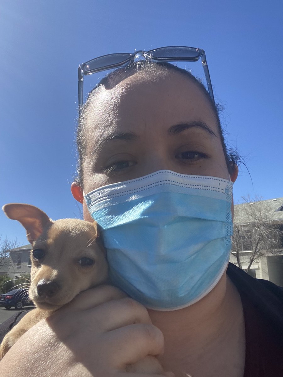 CIS_Wellbeing's tweet photo. CIS Virtual Nature walk! Started the morning with a walk around our neighborhood. Guess who joined in? Blaze! He also loved the trees, the plants, the different scents and the sounds! #ActiveCISElPaso #MyHealthMatters https://t.co/qn0Gh0nPbp