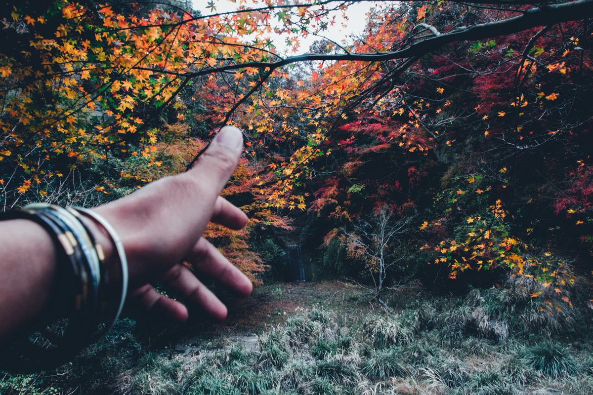 Koukichi_T's tweet photo. #ExceptionalNormalcy - four seasons on @eyeem
▸ https://t.co/PhijFEDOsA
▸ https://t.co/fA1ctaYaz8
▸ https://t.co/GtgQept8uj
▸ https://t.co/b3EMJNPFoU
#ktpics #eyeem #Japan #ファインダー越しの私の世界 https://t.co/mr1H4LP3cd