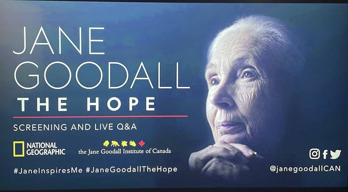 Inspiring. Emotional. Hope. 
Just joined the virtual screening and live Q&A with @JaneGoodallCAN . Thank you #JaneGoodall for the non stop effort and inspiration.
 #Love30X30 #JaneGoodallTheHope #JaneInspireMe