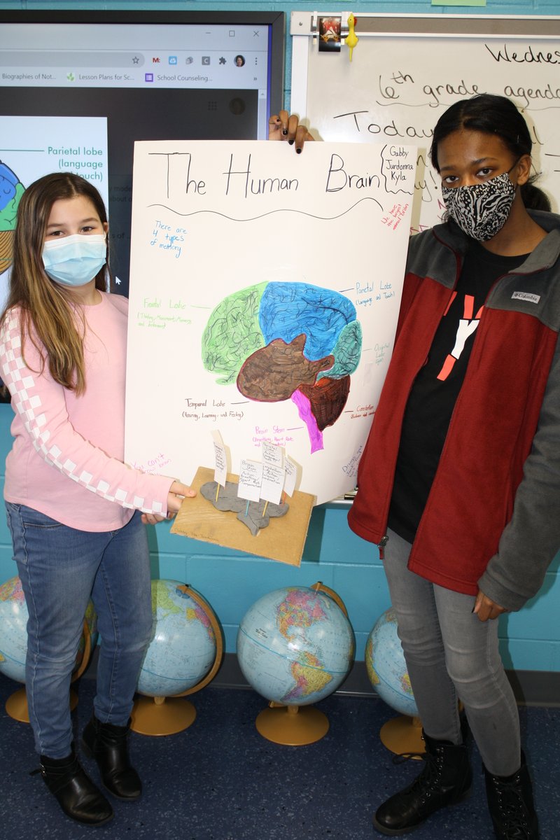 sl_heath's tweet photo. Learning about the amazing parts and functions of the human brain &amp; how to take care of them is fascinating and essential for healthy living. @NAGCGIFTED https://t.co/2CjKgcPwCL