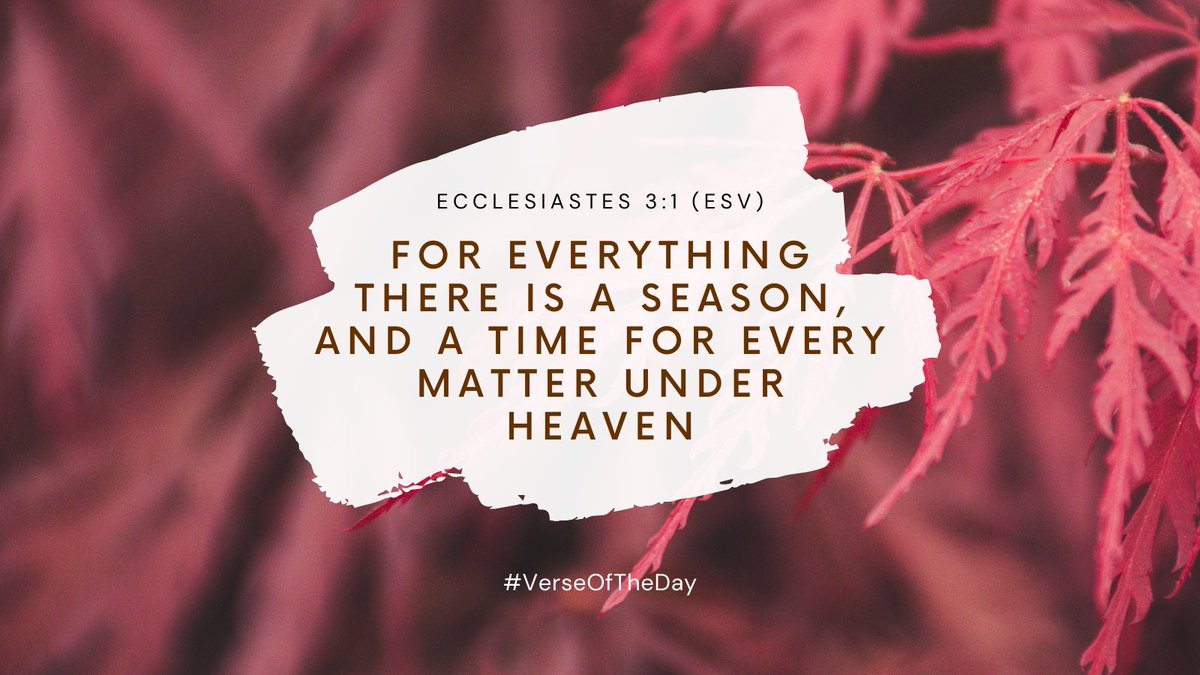 bcf_online's tweet photo. In every season God is preparing us for a future we have yet to see. He is preparing us for what we prayed for.

#BCFonline #inspirational #VerseoftheDay #HisPlans https://t.co/Qhv9oty1Uj