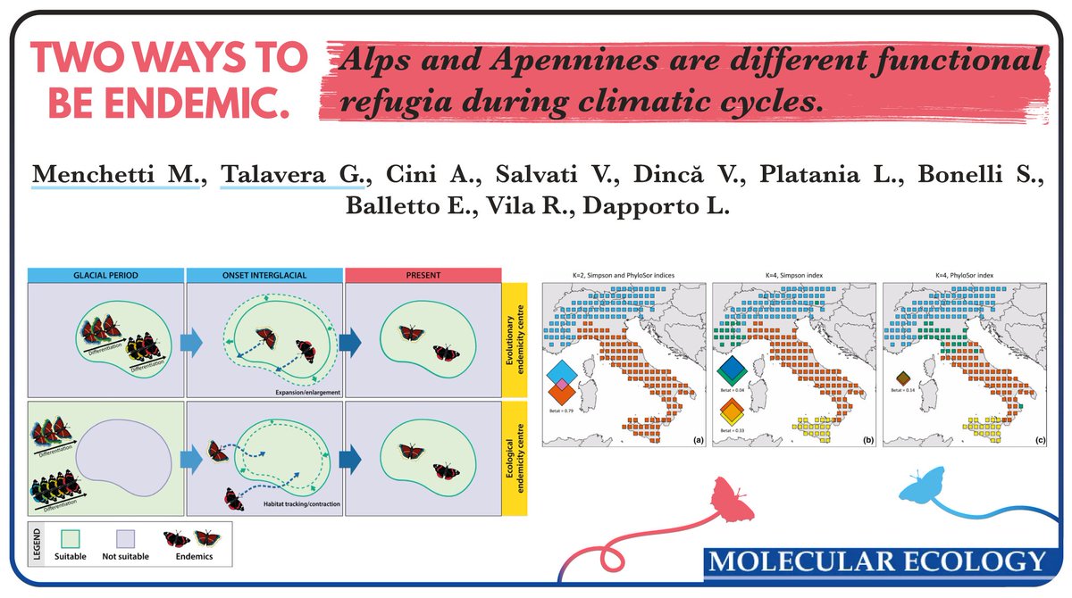 Mattia Menchetti (@mattiamenchetti) on Twitter photo Our new paper published on <a href="/molecology/">Molecular Ecology</a> is finally online!
This study has been possible thanks to the amount of barcoding data produced in more than a decade and the great work done by the <a href="/inaturalist/">iNaturalist</a> community!
Link: doi.org/10.1111/mec.15…
RG: bit.ly/36LR5LL Our new paper published on <a href="/molecology/">Molecular Ecology</a> is finally online!
This study has been possible thanks to the amount of barcoding data produced in more than a decade and the great work done by the <a href="/inaturalist/">iNaturalist</a> community!
Link: doi.org/10.1111/mec.15…
RG: bit.ly/36LR5LL