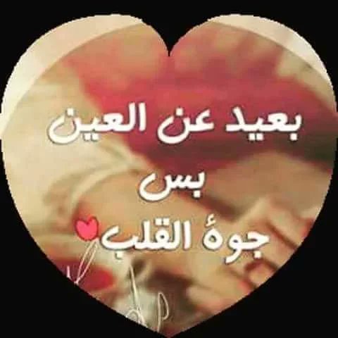 WMansor's tweet photo. #صورة_ملف_شخصي_جديدة https://t.co/senmcrxeGE