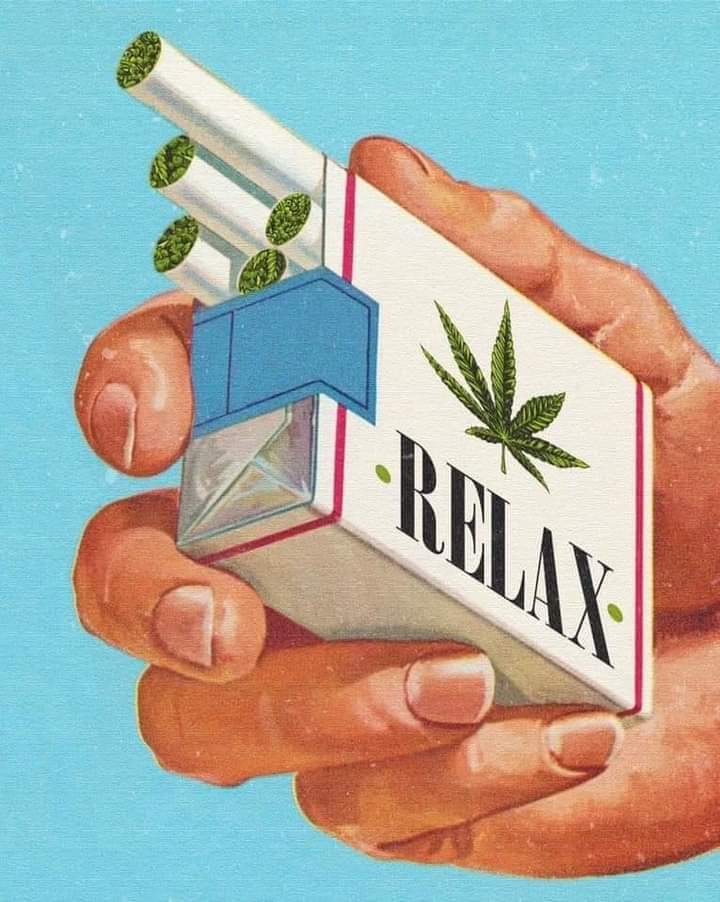 rufffies's tweet image. Marijuana is trending!! 🍃🍃
.
.
.
.
.
#LegalizeIt #itsjustaplant #FederalLegalization #weed #stonergirl #cannabisculture #CannabisCommunity #LIT #mmjpatient #makeweedlegal  #medicalmarijuanapatient