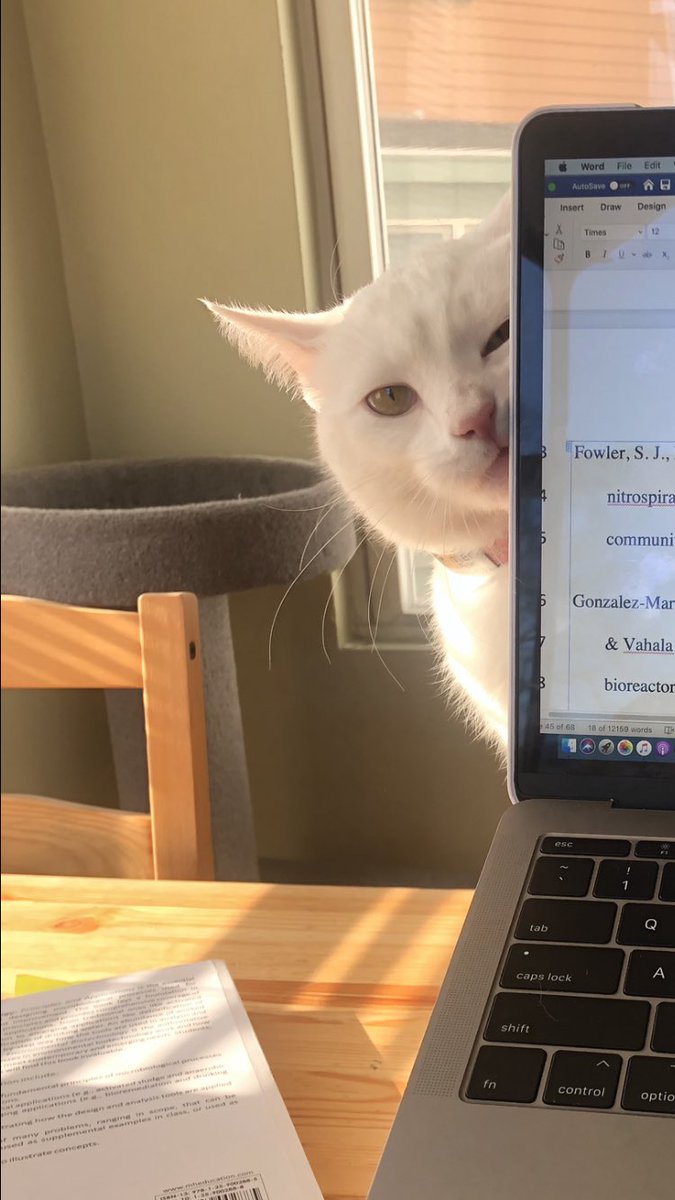 Katie Vilardi tweet media