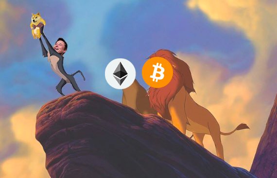 sacred_raucus's tweet photo. #dogecoin @elonmusk #DogecoinToTheMoon #CryptocurrencyNews https://t.co/yPElPx71pC