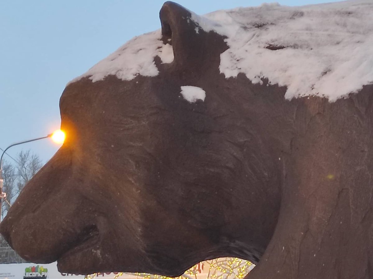 Ryazan1095's tweet photo. Please #bear with us while we share pics from the main #parkland area of #Ryazan #winter  #rzn #cybear #bearnecessities https://t.co/hqcmLCJmx6