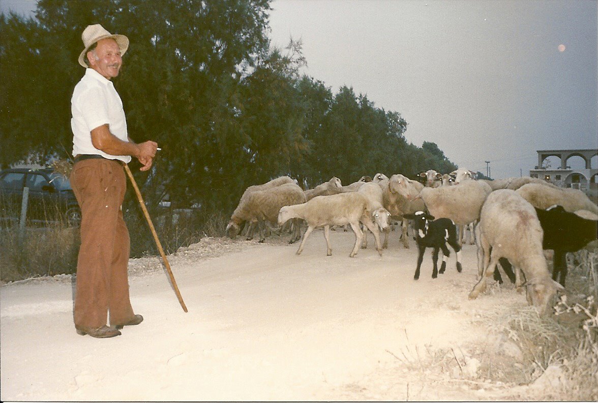 PureTraveller's tweet photo. #Top4Furry (Hellenic edition).
↖ Local shepherd & flock outside the house, Zakynthos, 🇬🇷
↗ Taverna kittens, 🇨🇾
↙ Goats, Kefalonia, 🇬🇷
↘ A monastery looking after cats, 🇨🇾
#Top4Theme is hosted by @CharlesMcCool, @Giselleinmotion, @perthtravelers, and @Touchse. https://t.co/A6MlQ88cPJ