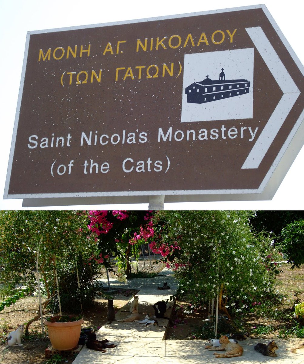 PureTraveller's tweet photo. #Top4Furry (Hellenic edition).
↖ Local shepherd & flock outside the house, Zakynthos, 🇬🇷
↗ Taverna kittens, 🇨🇾
↙ Goats, Kefalonia, 🇬🇷
↘ A monastery looking after cats, 🇨🇾
#Top4Theme is hosted by @CharlesMcCool, @Giselleinmotion, @perthtravelers, and @Touchse. https://t.co/A6MlQ88cPJ