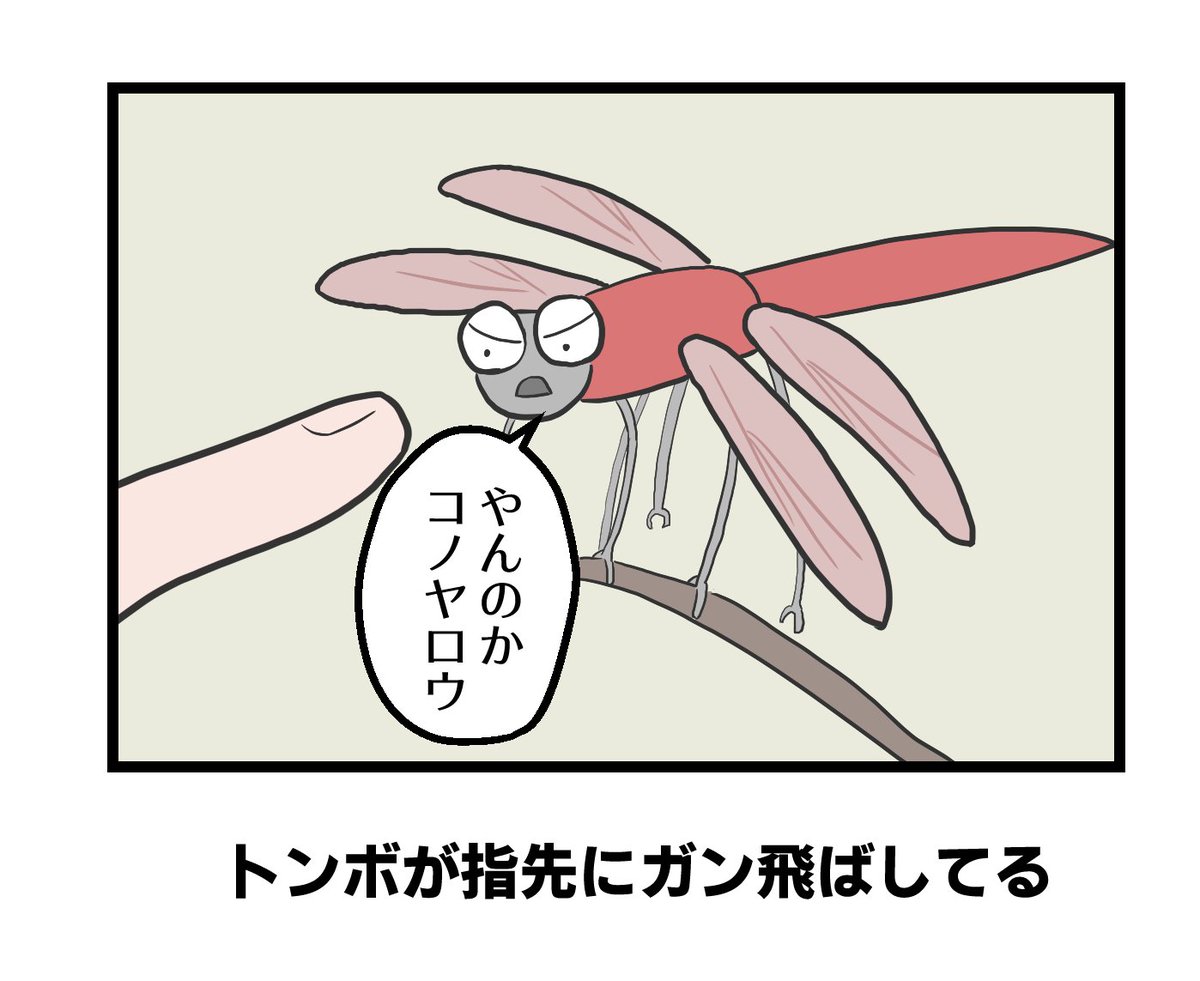 お題「虫の世界のヤンキーはこんなだ」 