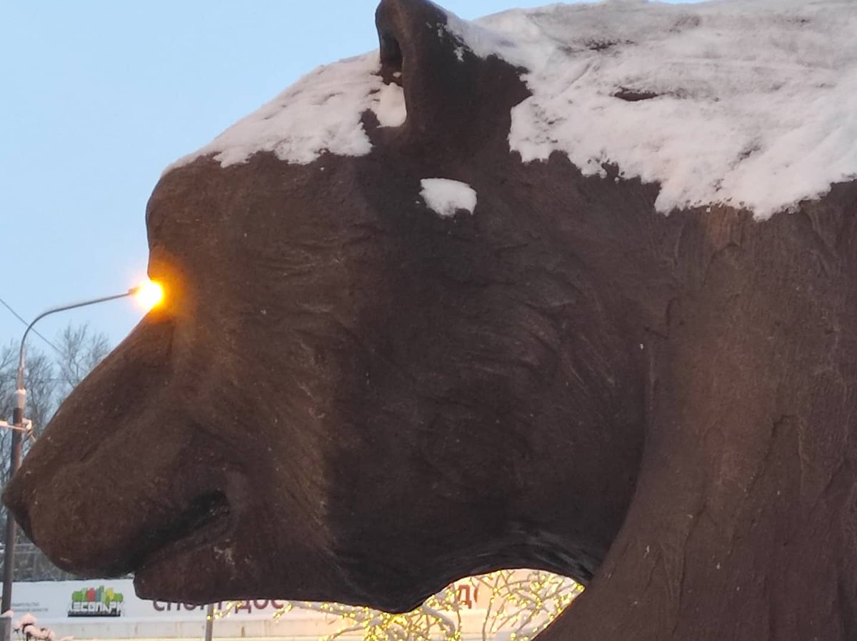 Ryazan1095's tweet photo. Please #bear with us while we share pics from the main #parkland area of #Ryazan #winter  #rzn #cybear #bearnecessities https://t.co/hqcmLCJmx6