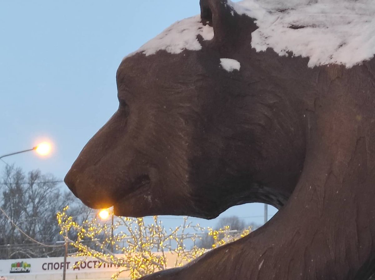 Ryazan1095's tweet photo. Please #bear with us while we share pics from the main #parkland area of #Ryazan #winter  #rzn #cybear #bearnecessities https://t.co/hqcmLCJmx6