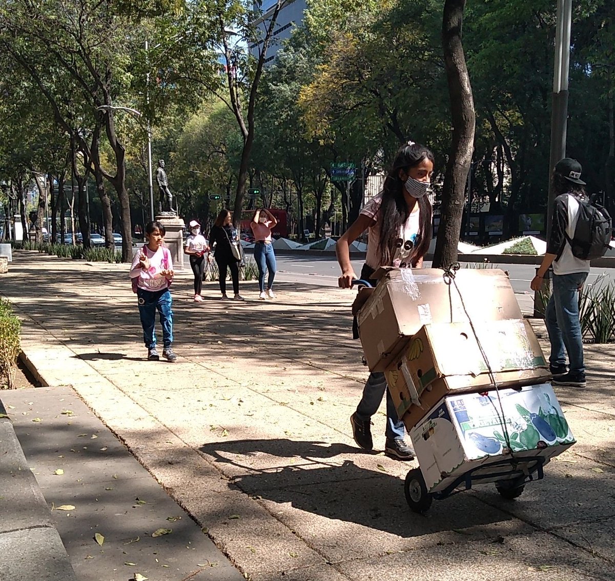 San Rafael CDMX tweet media