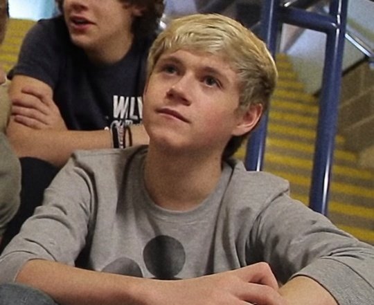 fetusNH's tweet photo. hey!! in this account we will upload content from niall fetus, we hope you love our acc <3 https://t.co/U4tgErZOUO