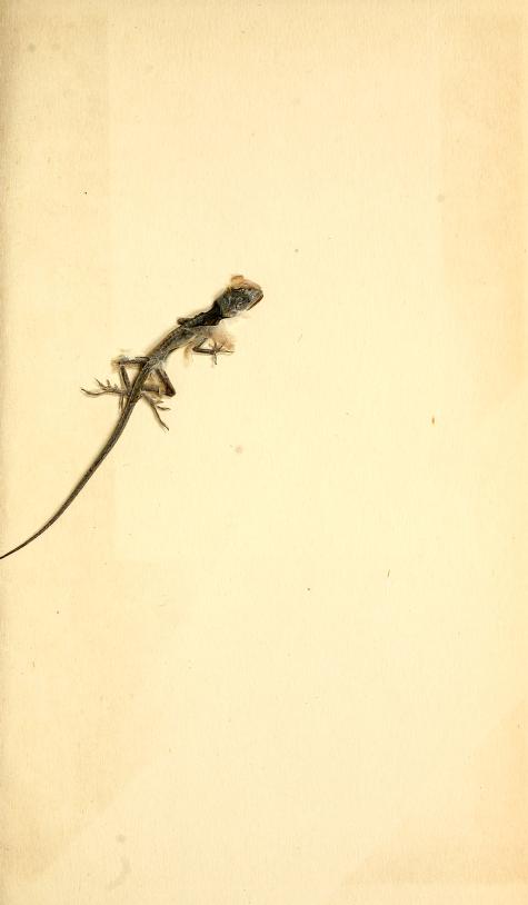 <a href="/ktetch/">K'Tetch</a> <a href="/_rajkhare/">rk</a> Here's the most notable thing our scanners found stuck inside one of our books: