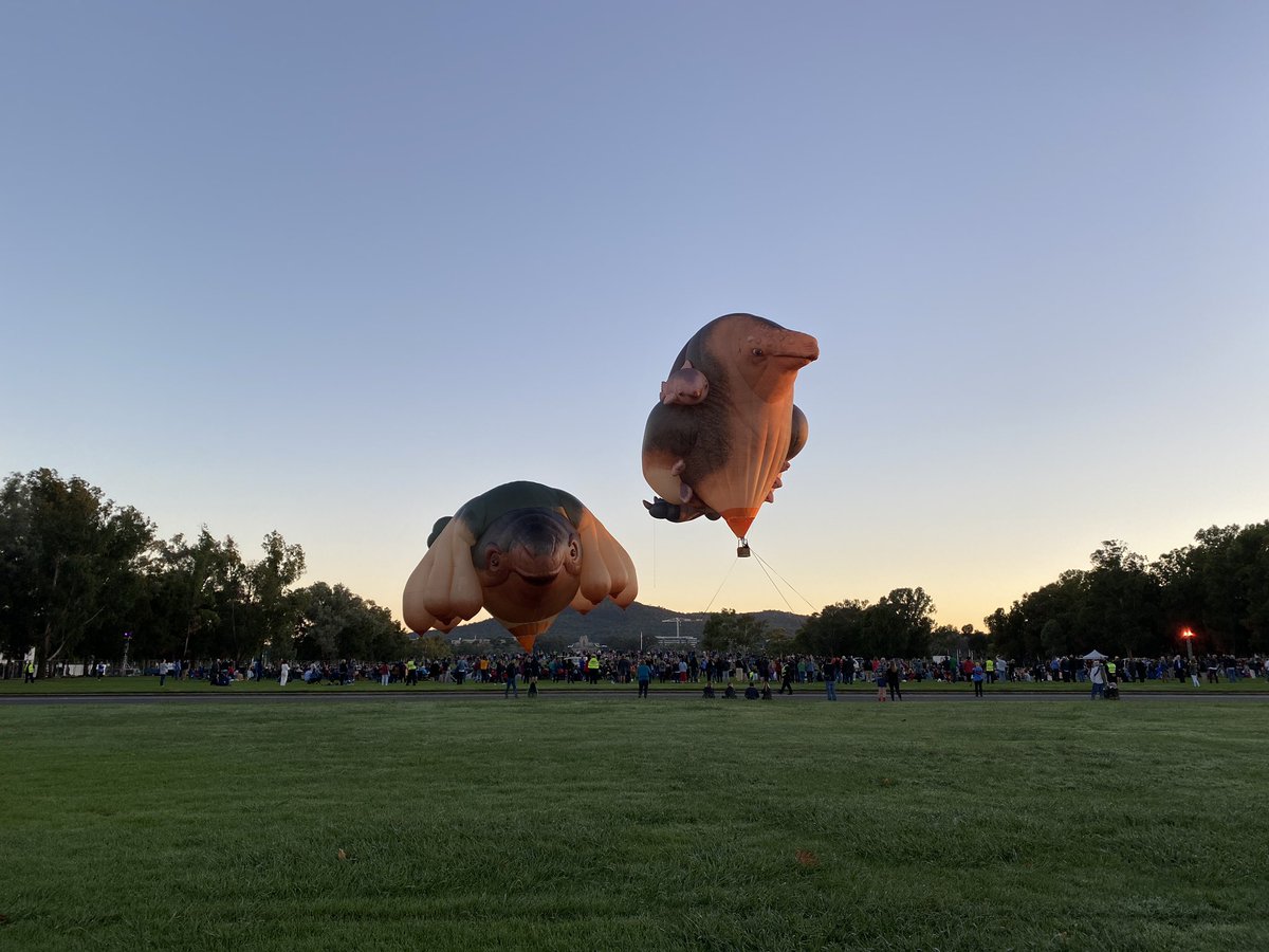Houston, we have lift off! #skywhales