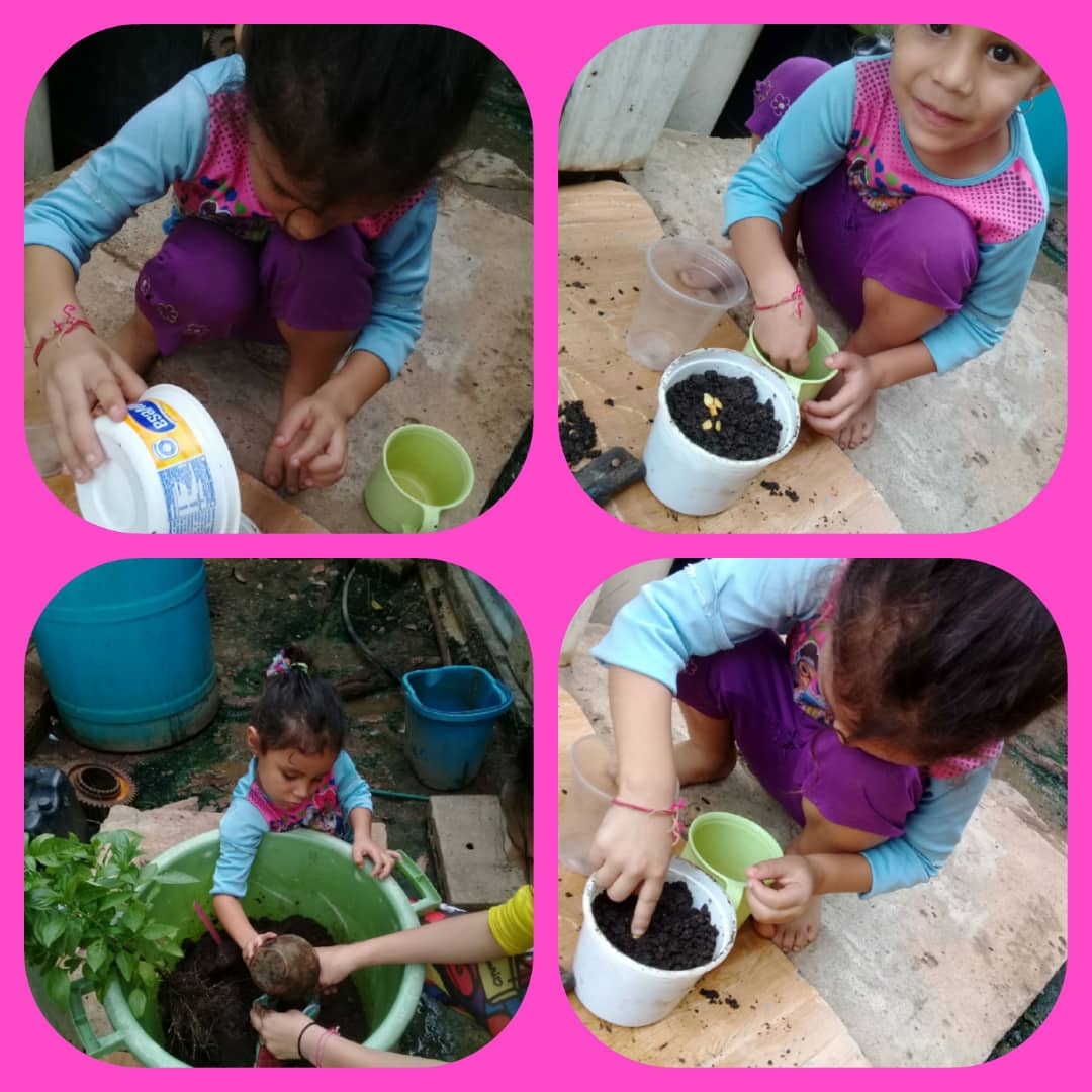Estudiante de Inicial realizando las actividades sugeridas por la CNAE (siembras semillas de auyama)