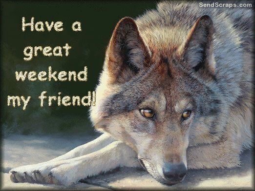 evelyn_m_k's tweet photo. Happy Weekend Pack! Hope yโall are well! Here they canceled Mardi Gras, French Quarter to be closed! โค๏ธ๐๐บ๐ป @Nokomaq @MiriBen2 @DianeRedelinghu @hugwildlife @GichiGumee @nkDarkDrgmailc1 @rotrujo @AleZ2016 @Graywolf080458 @DonTochillo #SaveWolvesBears #AdoptaNoCompres #NoMasTas https://t.co/esBn1dcexp