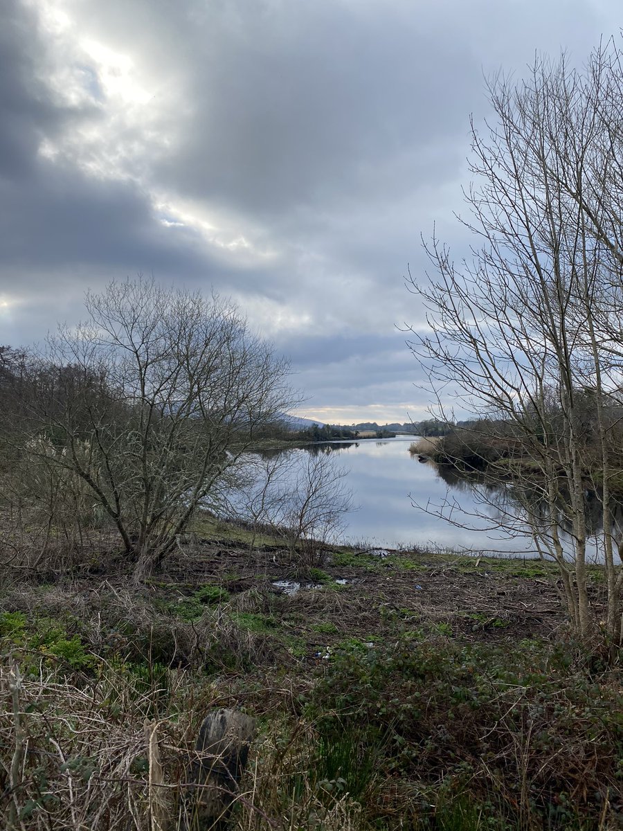 mshanley_m's tweet photo. Day 37 #100daysofwalking #movewithtrisha #Roughty #Currabeg #countryside #beautifulskies #sunrays #lockdown3 #staysafe @WeatherRTE @AimsirTG4 @100DaysOfWalkin @WAWHour @NewstalkFM https://t.co/A84mvRJM0G