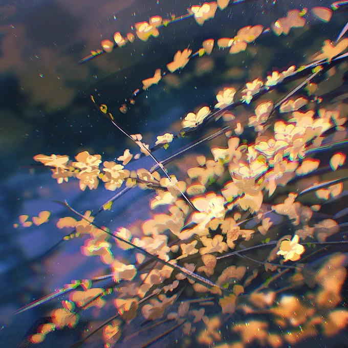 花 