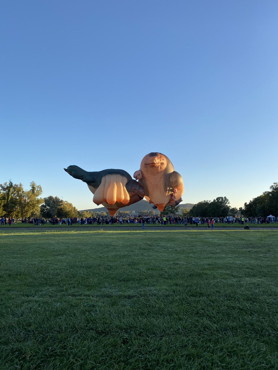 Houston, we have a problem... #skywhales