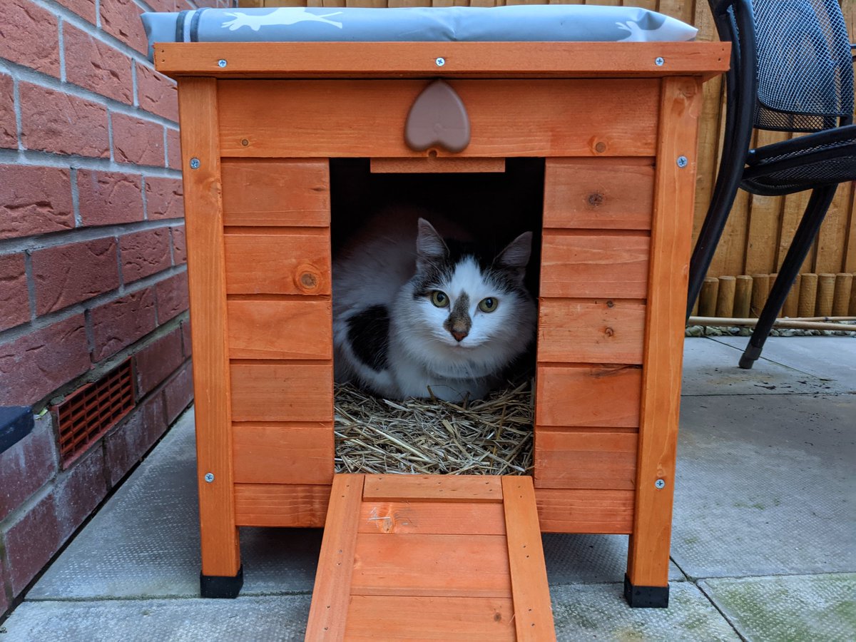 And so Boris now has a house, a permanent structure he can call his own, where he can keep safe and warm, and be close to his good friend Rudi. And he loves it. And Boris isn't really homeless anymore.