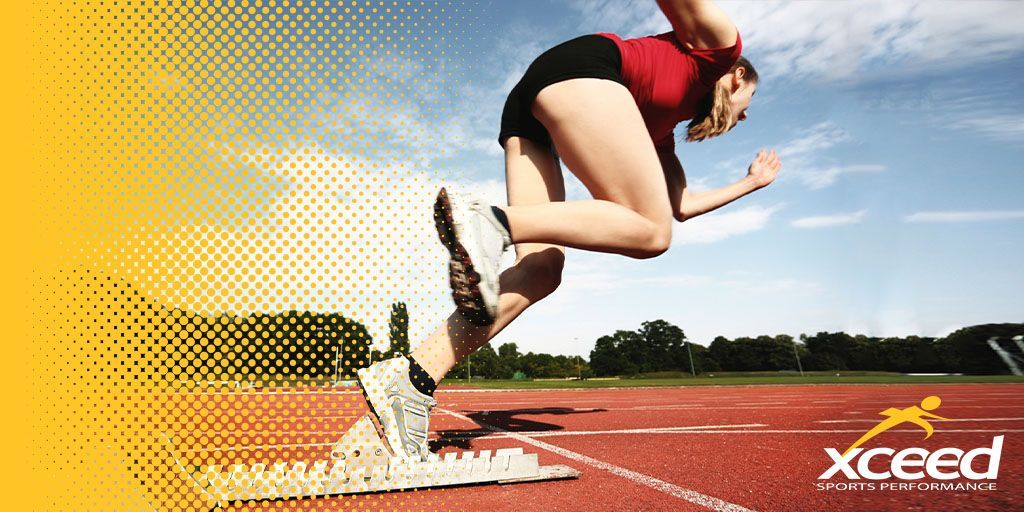 Xceed Sports tweet media