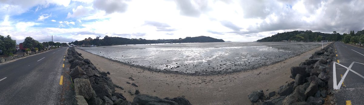 Early morning coffee