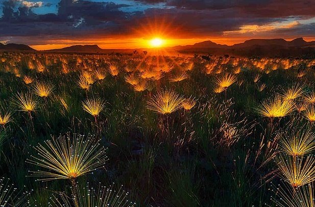 Riseatsunrise's tweet photo. One of my most significant assets is knowing about Love. It healed me by learning to forgive & let go to live again. It's magick in itself the energy uplifts creates & is ever-expanding if you keep your thoughts & energy tapped into it #OpLove
#WeNeedUnity #OpUnity
#OpHumanity https://t.co/JCgp13ldug