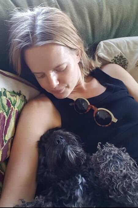 rosieDoc2's tweet photo. 💥❤️💥SHOWING BEETLE'S SMALL SIZE.
#FindBeetle 
💥Stolen from #Alvediston 💥
SHE IS SPAYED AND CANNOT BE BRED FROM💥Significant reward for any info leading to her retrieval.PLs RT  and anyone with any info please call the Brown family on either 01722781235, 07970518190 https://t.co/vsd3nXwkVE