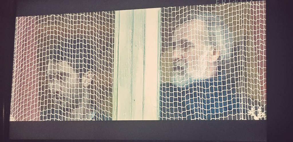 ΤΑΝGERINES (2013) Μια εξαιρετική ταινία για τη ματαιότητα του πολεμου (Γεωργίας-Αμπχαζίας)
#TroposWeekends