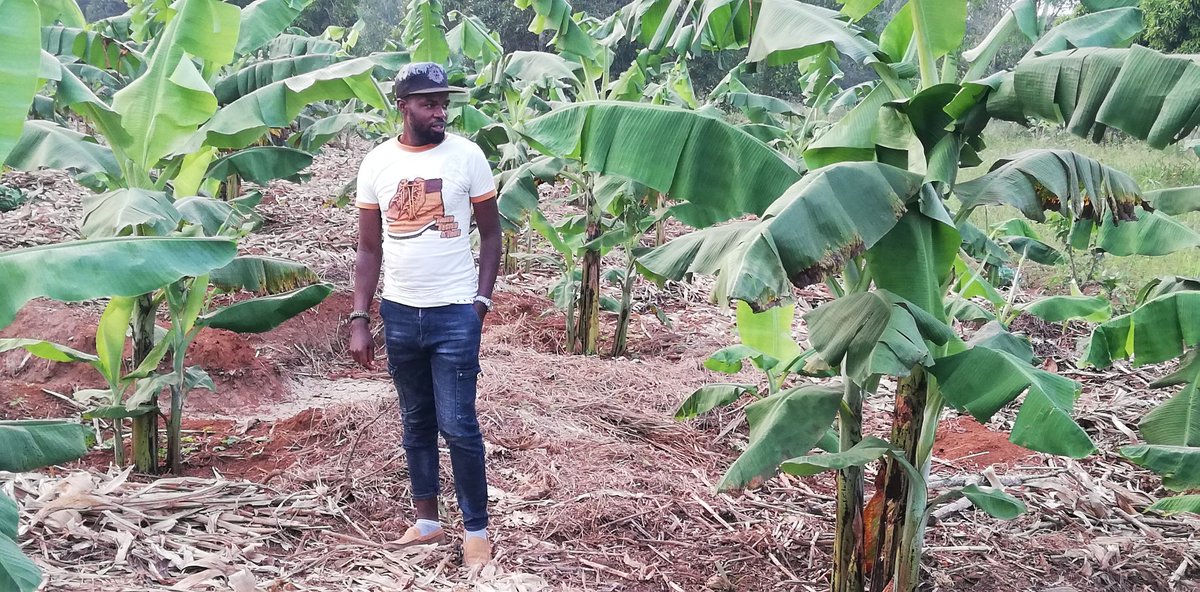 Congratulations to Trevor, its just less than 2 yrs. His permaculture unit is transforming very fast. <a href="/BroadfieldEnte1/">Tropical Permaculture Education Institute Africa</a>