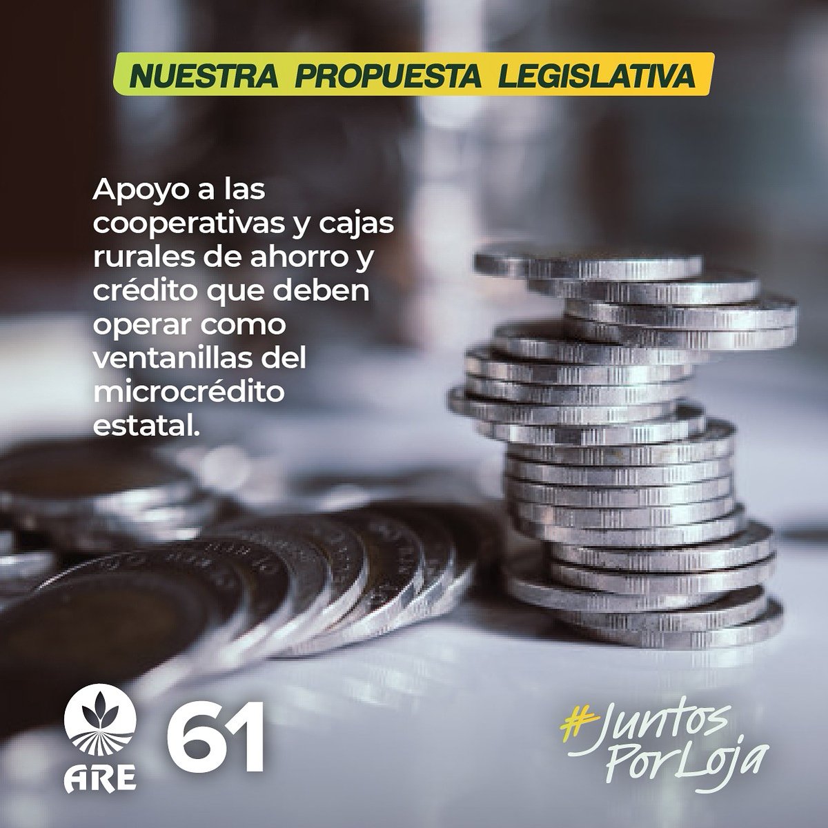 ARE61's tweet photo. #PropuestaLegislativa 📌 | El #Estado debe apoyar a las cooperativas y cajas rurales de ahorro y crédito 👩‍🌾💵
#Loja 🇪🇨 con voz propia en la #AsambleaNacional 🏛️

#JuntosPorLoja #MovimientoAre #ARE61 #ChatoCastillo #LorenaAsambleísta #RichardAsambleísta #LeydiAsambleísta https://t.co/ZPzVIX4buT
