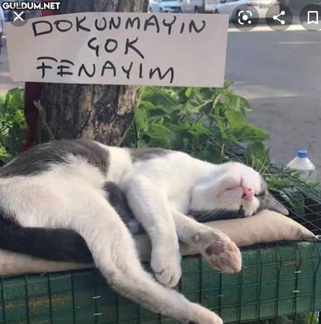 zehrabkr8's tweet photo. @goleli_zemzem https://t.co/3RY7hfWYye