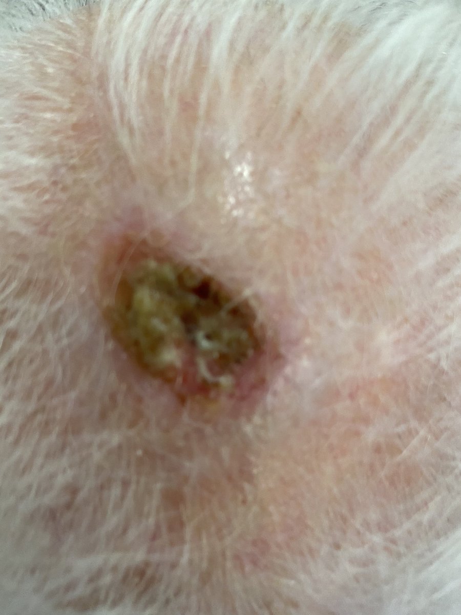 MarcelaSaebL's tweet photo. Pero ya que tengo toda su atención #UsaCubrebocas #LavadoDeManos #DistanciamientoSocial #usaprotectorsolar el cáncer de #piel va en aumento revísate #dermatología https://t.co/LY4SzxXJ5M