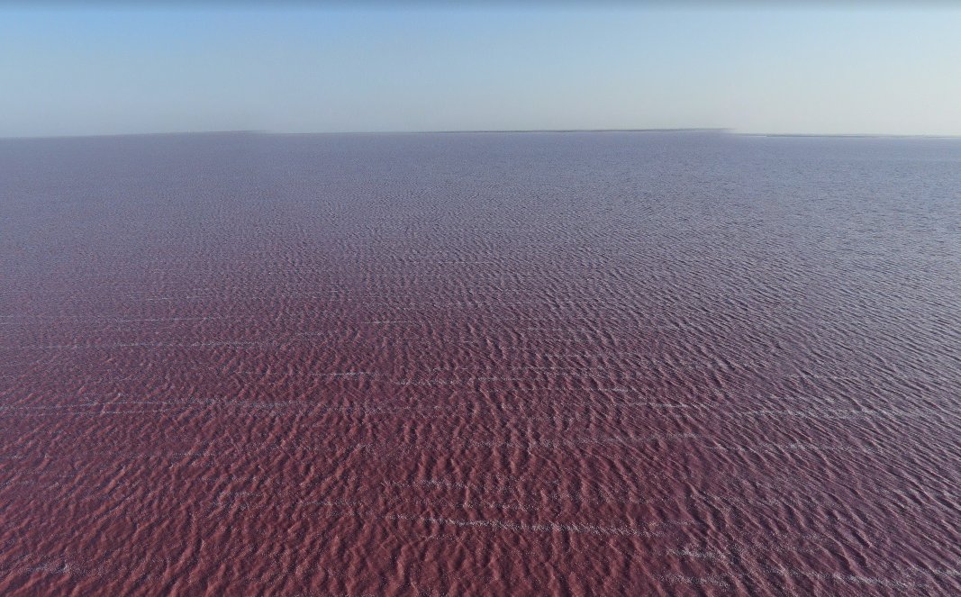 YMessageiro's tweet image. alguém sabe porque essa porra tá rosa