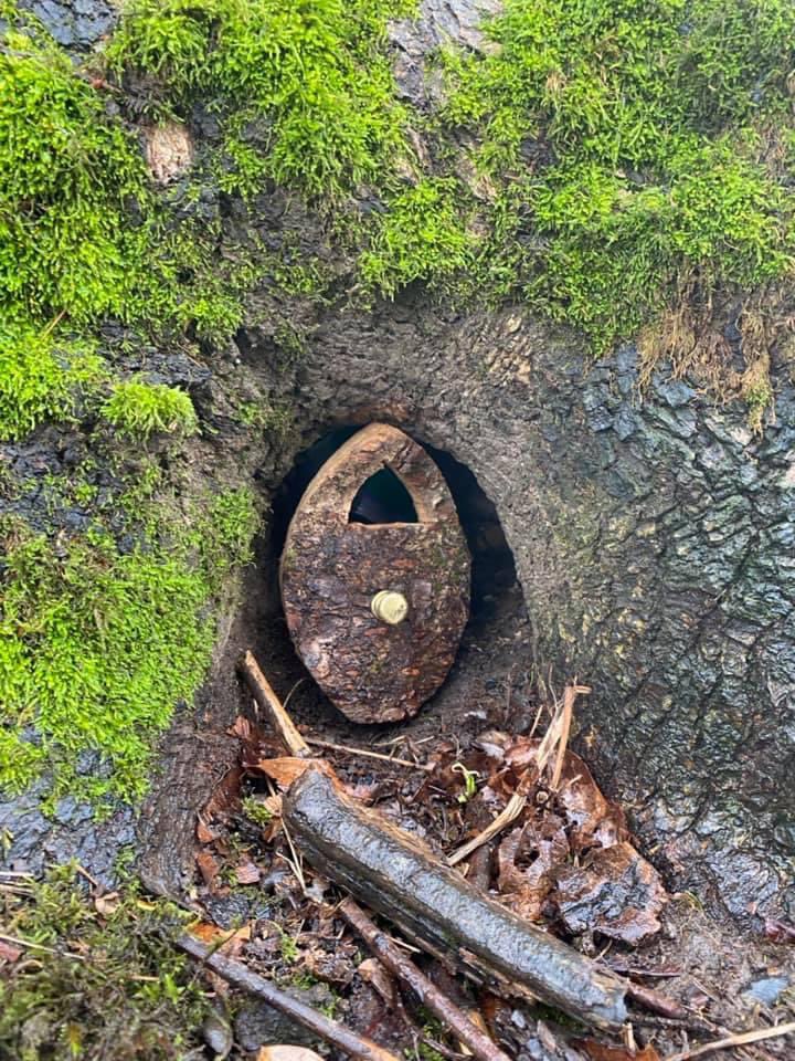 sassafraslowrey's tweet photo. I traded a the gnomes plastic dinosaur for some dinosaur stickers this morning! #magic #little #littlethings #gnomedoor #dinosaurs #stickers #findmagic https://t.co/rJZoiEjqaK