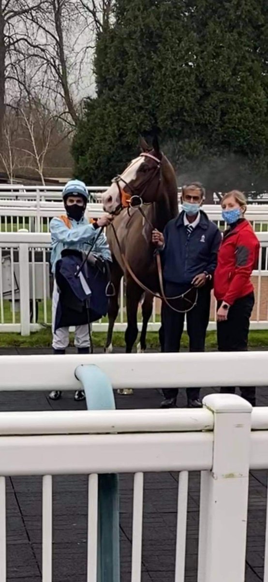 CobboldKeith's tweet photo. What a brilliant return to the racecourse by our Longsider @LingfieldPark today, after being sidelined for 388 days.
Great ride @MrRyanTate , superb training feat by @HeathHouseNkt , thank you everyone!
#teamsmp. #mpr. #sohappy. #extremelygrateful https://t.co/GlvIaGsueW