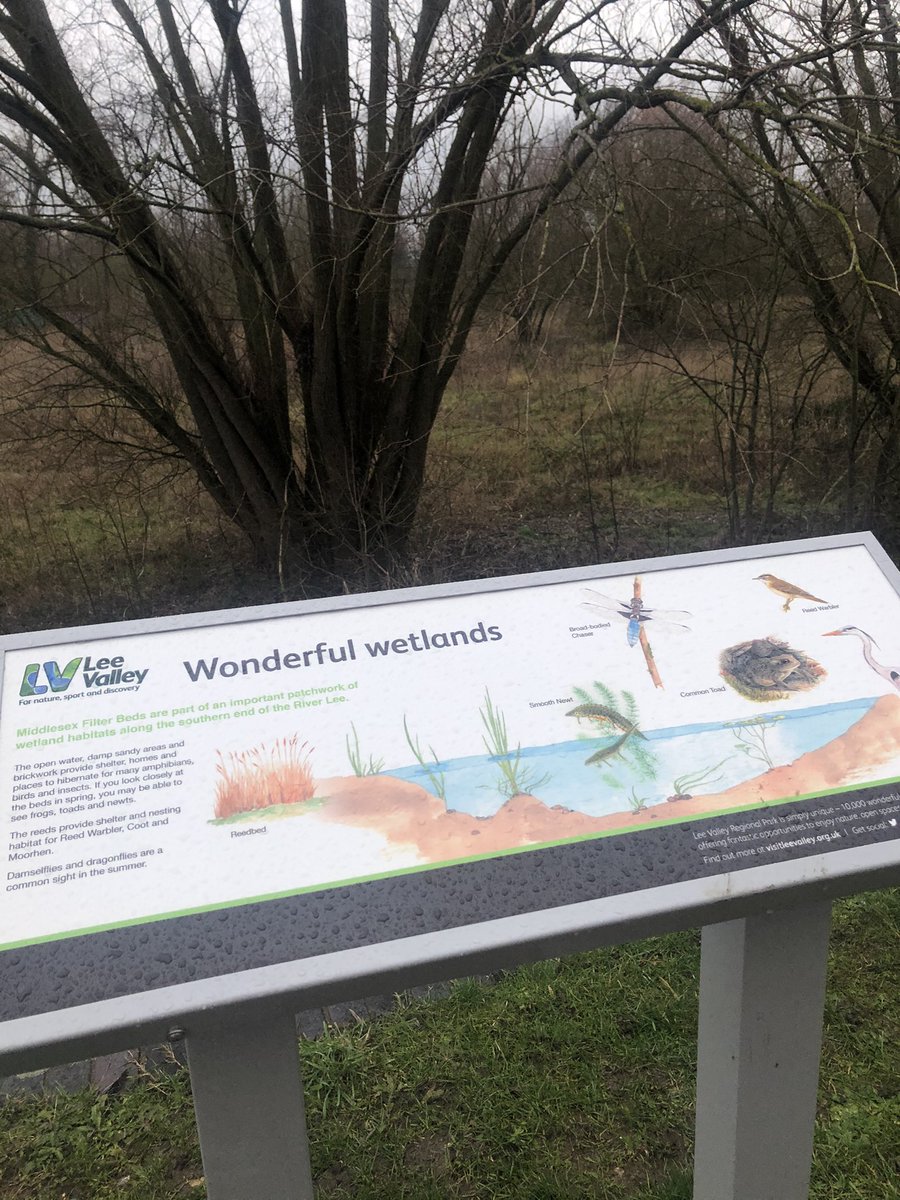 Rubbastuff's tweet photo. Another day, another lovely local walk.
#walk #eastlondon #olympicpark #victoriapark #millfieldspark #hackneydowns #hackneymarshes #riverlee #localloop #dogwalk https://t.co/cQEcXbpoJC