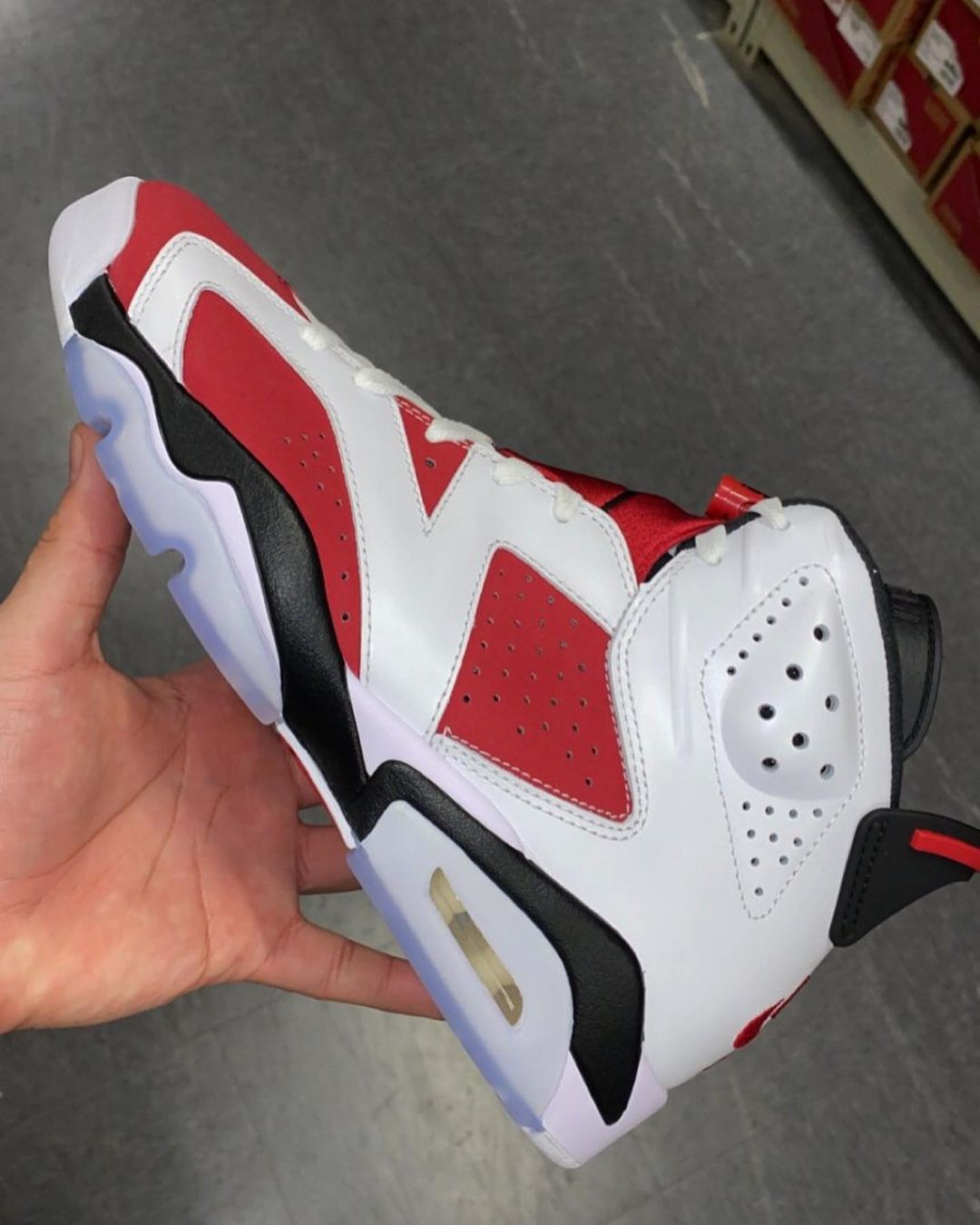 carmine 6s
