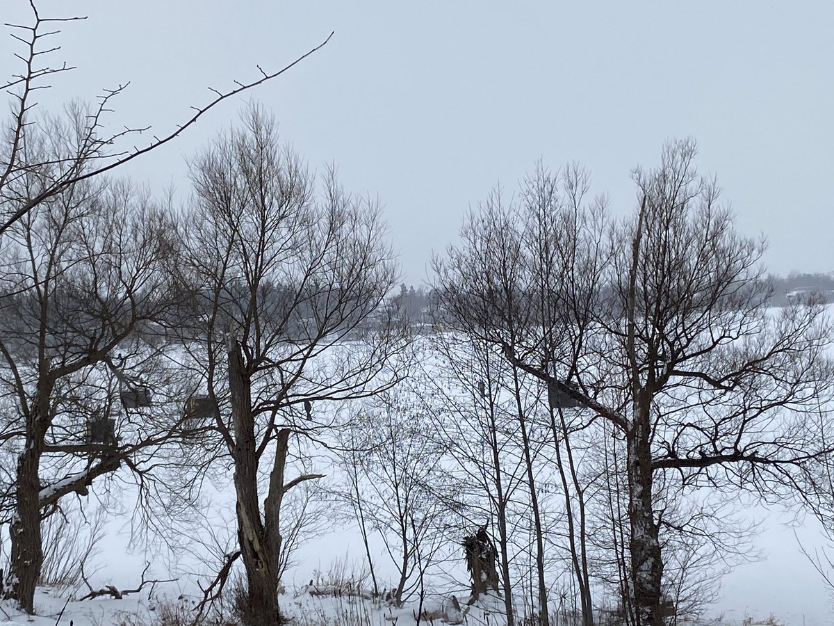 JeanYip3's tweet photo. Walking and shooting a family video in -8 degree weather with my mother. Son walks on Lake Wilcox. Can you see the ice fishing huts? #FitSenior 🇨🇦Winter https://t.co/To4SPcdmDb