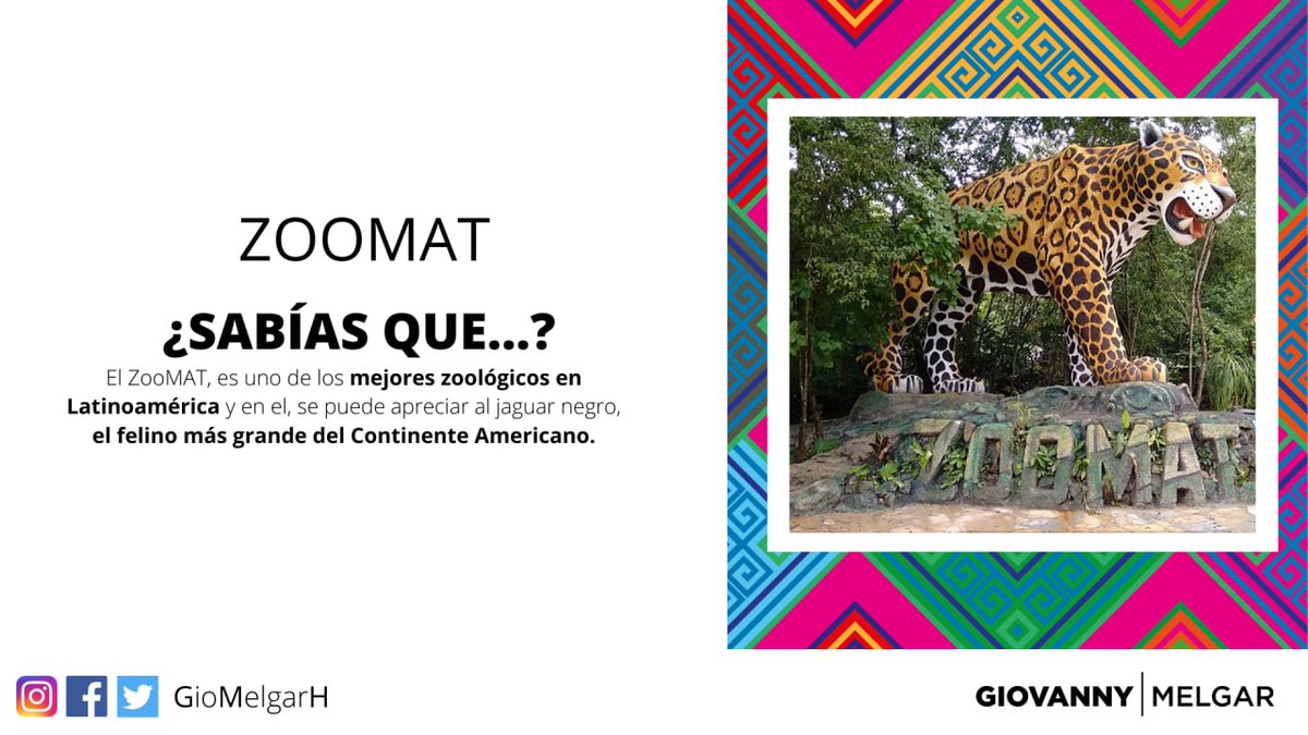 GioMelgarH's tweet photo. En cuanto estemos en semáforo verde, te invito a que lo visites. Mientras cuídate y cuida de los tuyos.

#GioconGio #VamosTuxtla #GiovannyMelgar #AmorxChiapas #ZooMat https://t.co/2fk0Ij2VFe