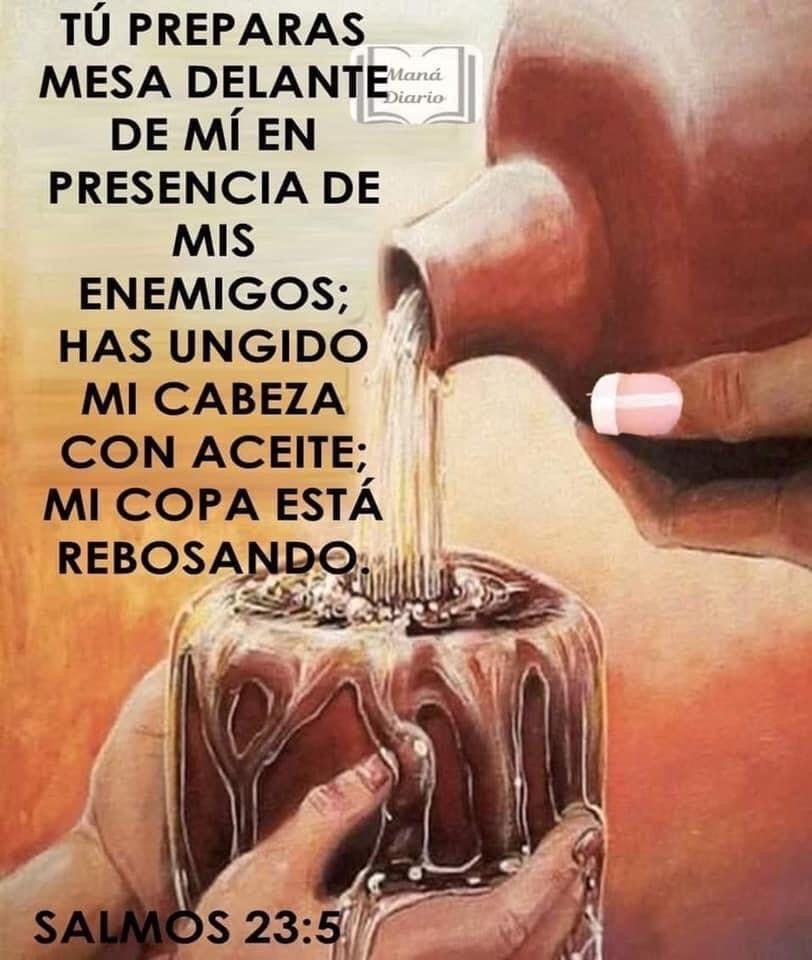 TorrenteRadio's tweet photo. Un capítulo o versículo diario alimenta el alma de uno.
Visite nuestra pagina de YouTube oficial  para más contenido Cristiano! https://t.co/IO2DYXnyau