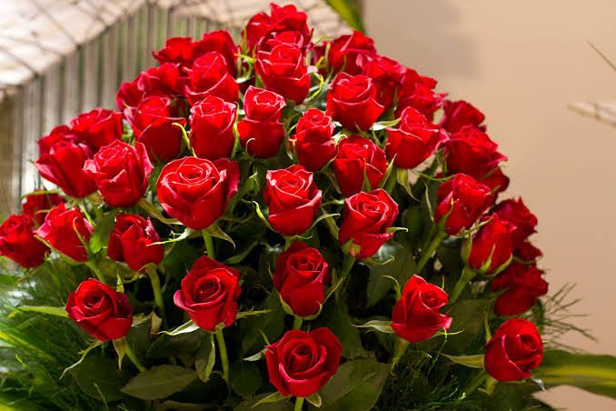 n92439893's tweet photo. حبيب الكل ربنا يحفظك يا قلب مصر منو ر برنامج عمرو اديب على الهو https://t.co/cJy383UK7K