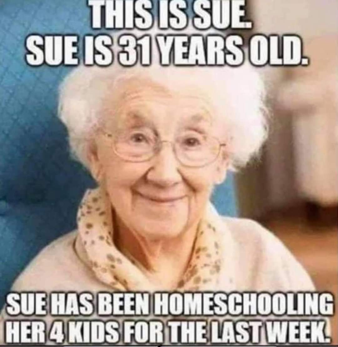 I also look like sue!! #homeschooling2021 #oldbeforemytime #literallynohairleft #COVID19 
@richparker87 <a href="/Overleighschool/">Overleigh St Mary's</a>